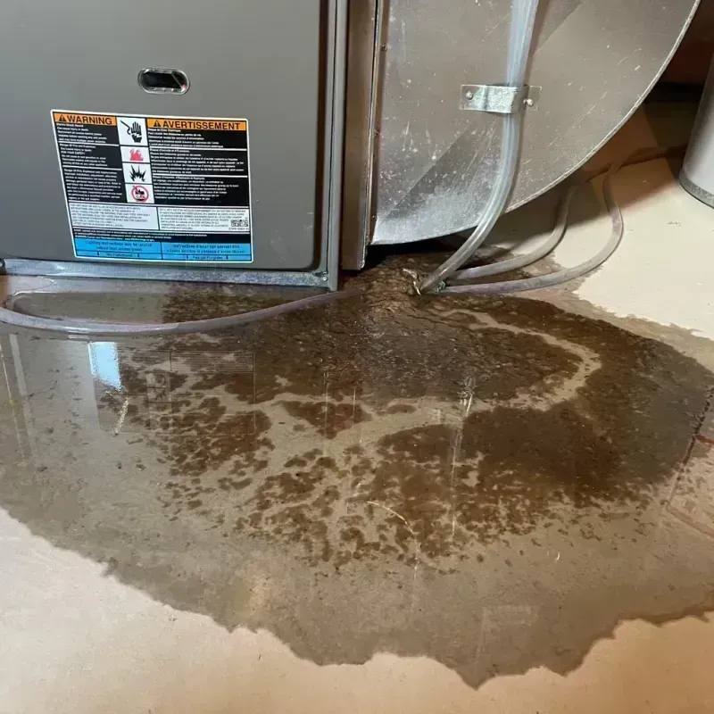 Appliance Leak Cleanup in Payson, IL